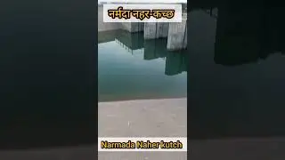Narmada canal kutch #narmada #Canal #shortvideo #youtubeshorts #ytshorts #kutch #shorts