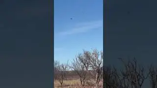 Crushing that two for one is 🤌 #texas #shootingsports #shotgunsports #clayshooting #Syrenusa