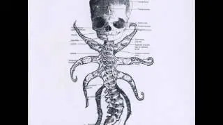 Bowel Fetus - Untitled