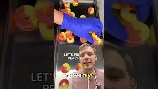 Freeze Dried Candy Profits