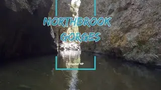 Northbrook Gorges 2025
