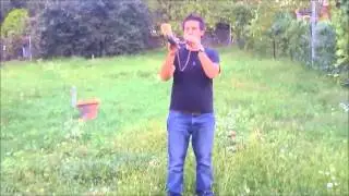 Viking Horn