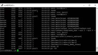 How To Rightly Kill A Process In Linux (RHCSA 8, Lesson 11C