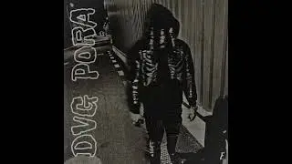DVG - PORA