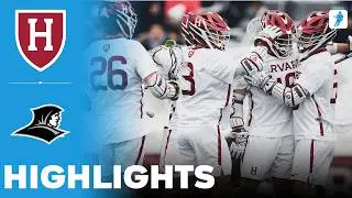 Harvard vs Providence | NCAA College Lacrosse | Highlights - February 14, 2026