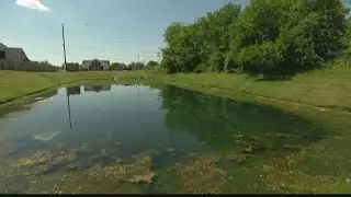 Missing woman's body found in car in pond