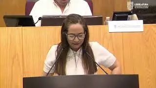 Primera Sesión - Segundo Período Ordinario del Segundo Año de Ejercicio Legislativo - 01/02/2026