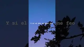 Videos para estados de WhatsApp