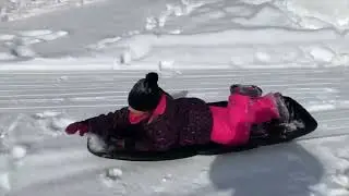 Toboggan Daze!