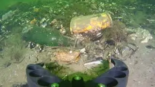 More bottles, and a plate found in harbour (fifish v6s)