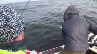 Team BUFF Abel Fishing Free
