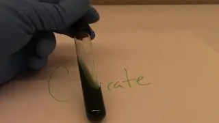 Citrate - Biochemical Test for Metabolic Capability
