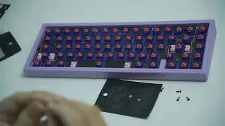 Pegasus 65 Keyboard Kit