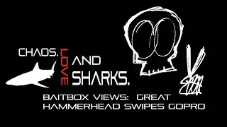 Baitbox Views: Great Hammerhead Swims Off with GoPro.