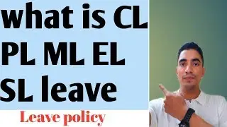 Types of leave. What is pl cl ml sl and holidays leave policy or rules. Private employees
