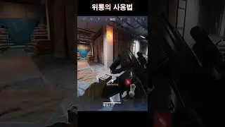 위룡사용법