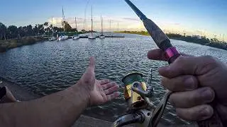 PESCA NO APTA PARA CARDIACOS - Rio de La Plata - Quilmes