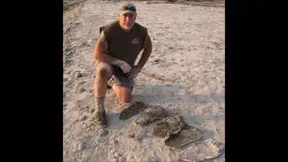 Monster X Radio: Possible Bigfoot Bedding Area Found!