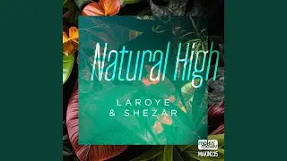 Natural High (Vocal Mix)