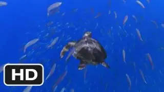 Turtle: The Incredible Journey Movie (2011) Trailer HD