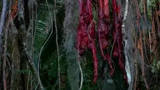Deskinned Green Berets - Predator (1987) HD