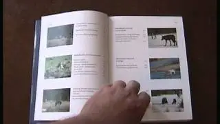 Hundeschule Froitzheim - Rezension 