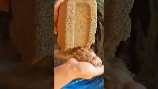 Brown Sand Cement asmr ✨️ #shorts #youtubeshorts #viralshorts