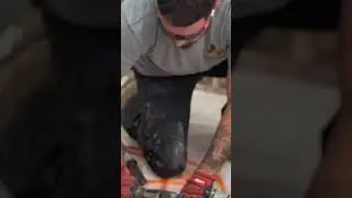 True Tex Plumbing