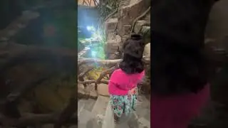 # Marine life# boston# usa# india# chennai#water park# Aquapark# fish