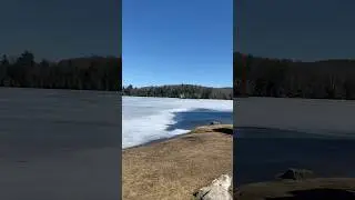 Pink Lake #frozen #lake #nature #gatineaupark #quebec #travel #explore #hikingadventures #shorts