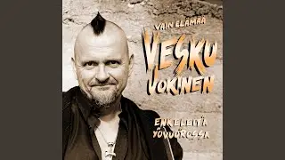 Enkeleitä yövuorossa (Vain elämää kausi 11)