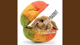 Human Union (Live)