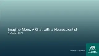 Imagine More: A Chat with a Neuroscientist &ndash; You Are Not Imaging It: Stress is Real! &ndash; Sept. 2020