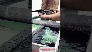 Best Innovative Water Transfer Printing Tool