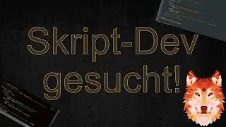 Skript-Developer gesucht! | SkriptMC-Network