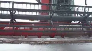 BigIron Auctions 2010 Case IH 2020 Flex Header 4/3/19