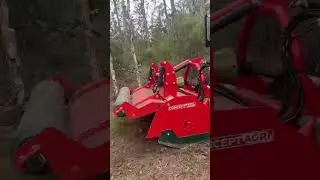 Mulching with the Valpadana tractor and Concept Agri GTS semi-forestry mulcher