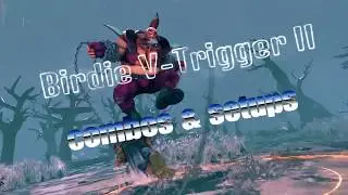 Birdie V-Trigger II combos & setups!