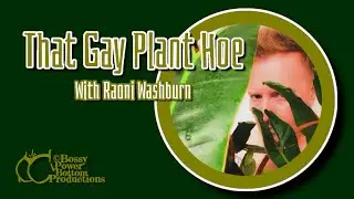 Day 4 of &ldquo;A Gay Plant A Day.&rdquo;#houseplants #plants #ihavethisthingwithplants #plantdaddy #plantaddict