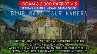 Gcam 8.2.300 Parrot v.5 Stable + Setting Rasa DSLR Tajam, Jernih Minim Noise