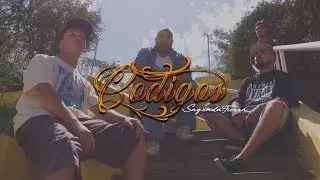 Sagrada Tierra - C&oacute;digos (Video Oficial) | Prod.4ilusiones