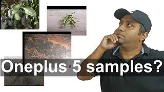 Oneplus 5 Camera Samples ? Review of the leaked images | Nothing Wired