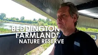 BEDDINGTON FARMLANDS Nature Reserve