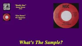 What's The Sample - Danny Brown 