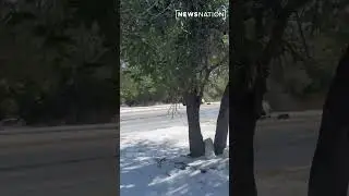 Car spins out of control on icy Texas roads