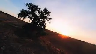 EMAX TinyHawk II Freestyle FPV Insta360go HD: Tense 😬