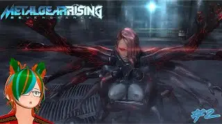 A STRANGER I REMAIN!...Metal Gear Rising: Revengeance (Part 2)