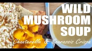 Cauliflower mushroom soup recipe (Chanterelle and Sparassis Crispa) | tasty recipes at home