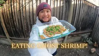 Cooking Ghost Shrimp! Was it Good or Disgusting? March 1st 2022