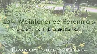 Low Maintenance-Perennials | Nature Talk